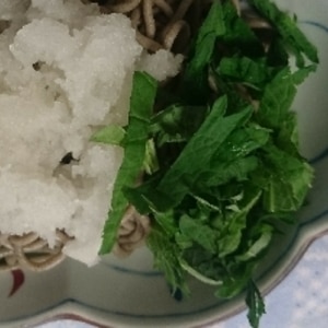 ひんやり　しそ大根の冷やし茶そば